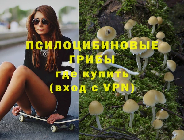 таблы Алексин