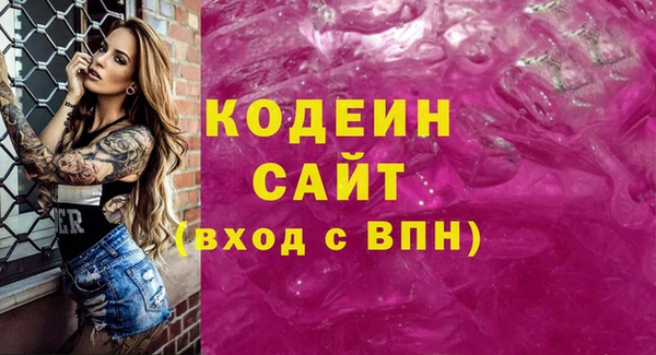 apvp Алзамай