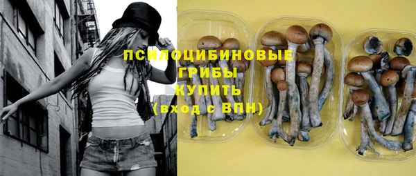 apvp Алзамай