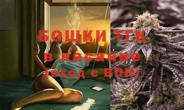 apvp Алзамай