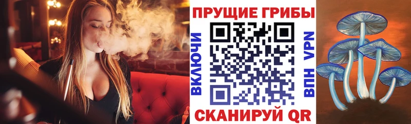 blacksprut как войти  Вихоревка  Галлюциногенные грибы Psilocybe 