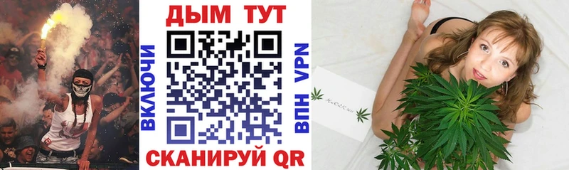 МАРИХУАНА сатива Вихоревка